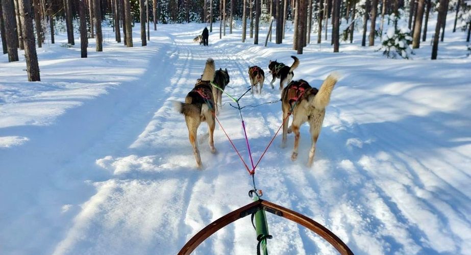 29 38 Lapland 22 29 38 Lapland 22